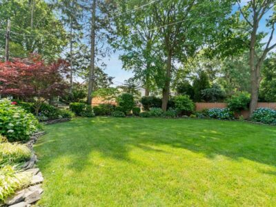 Backyard Grass