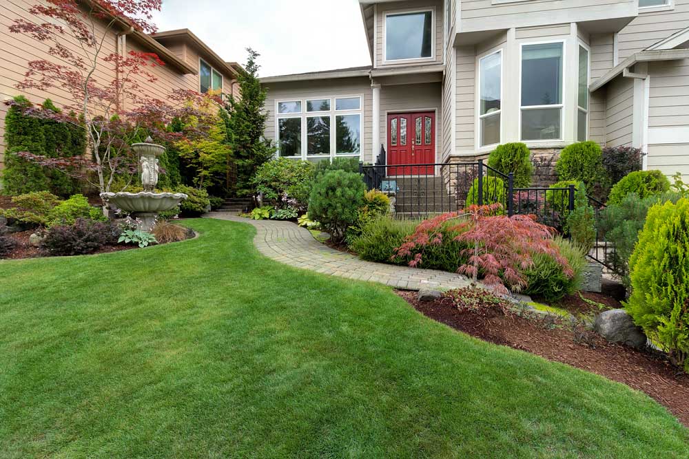 Modern home landscape with plants by DJ Lawn & Landscaping LLC
