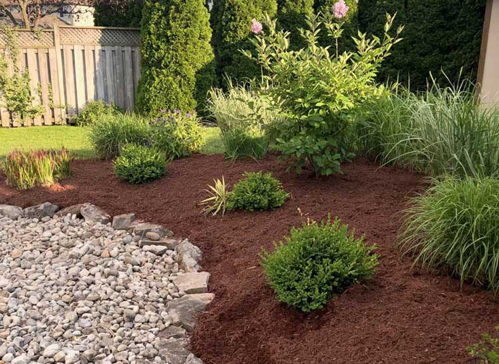 Outdoor trees and plants in a professionally designed landscape and hardscape yard